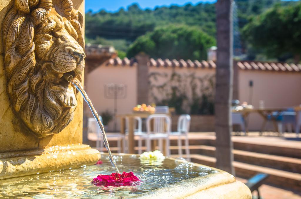 Villa Conmigo Bed & Breakfast Alhaurín de la Torre Εξωτερικό φωτογραφία